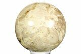 Polished Black Opal Sphere - Madagascar #261592-1